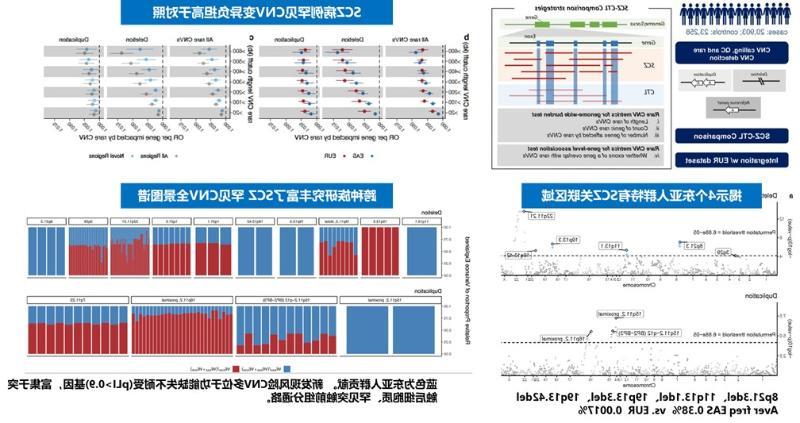 上海交大Bio-X研究院秦胜营团队与合作者共同揭示东亚人群精神分裂症罕见CNV遗传新图谱