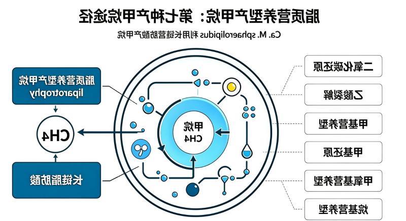 图4.jpg